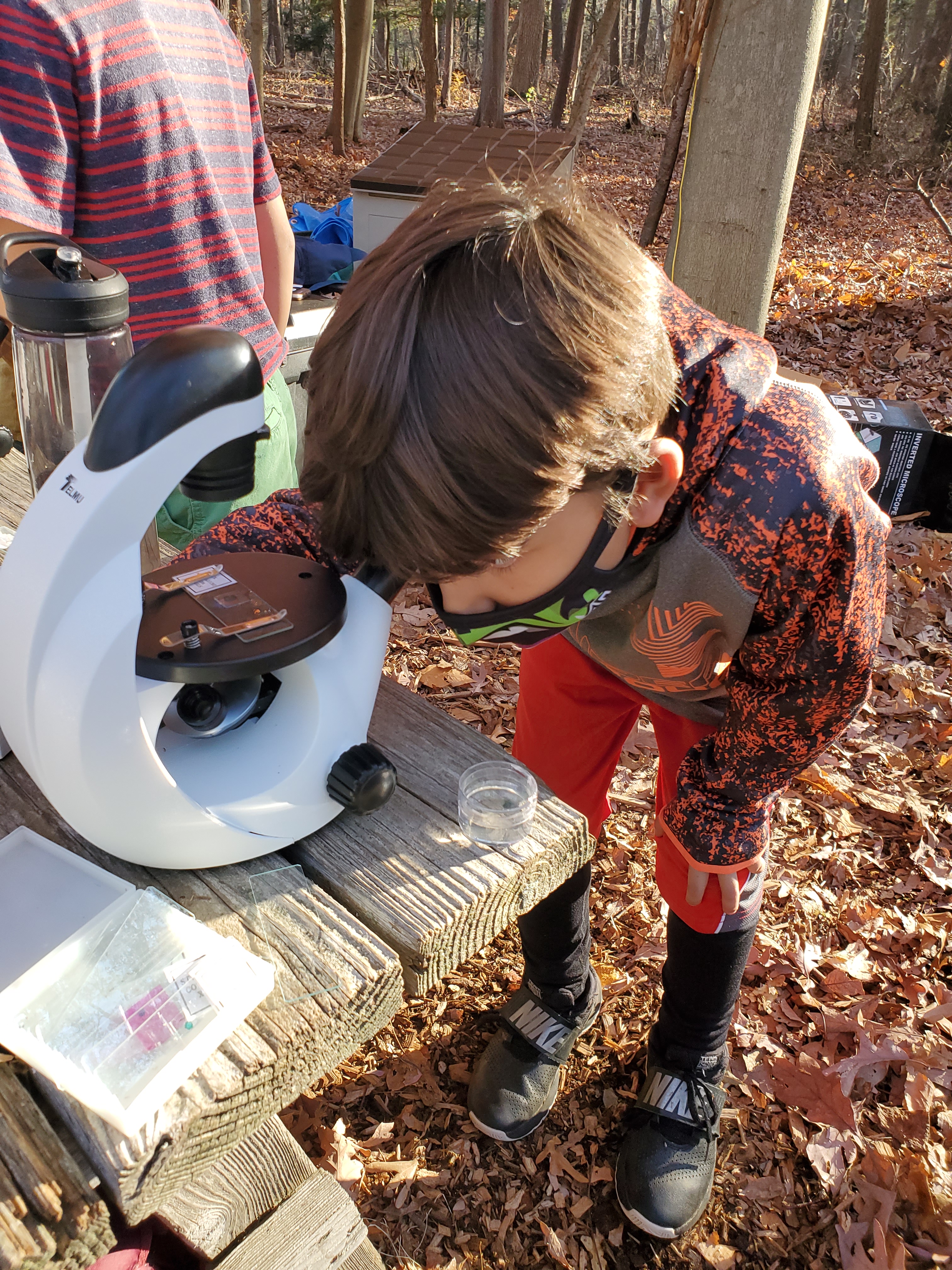 Teaching | The Collins Lab